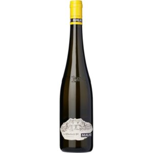 Riesling Ried Silberbichl 1ötw 2021 Hvidvin på tilbud!