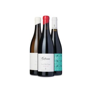 Bierzo Vin Prøvekasse - Perfekt til Nybegyndere!