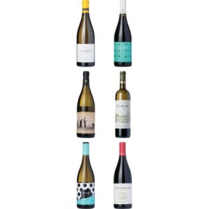 Galicien-kassen Vol. 5 - Udforsk 2022 Albariño fra Spanien