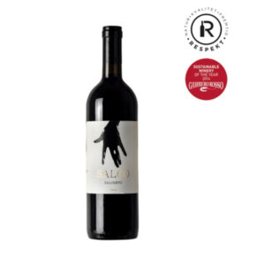 2013 Vino Nobile di Montepulciano Salco - Økologisk Vin