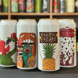 Fruited Sour Bundle fra Fermenterarna - 229,00 DKK!
